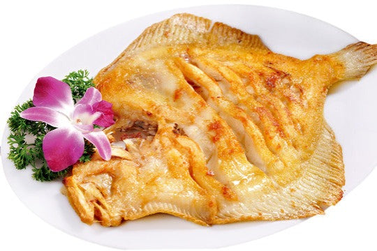 TURBOT FISH 多宝鱼