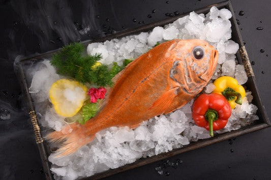 ORANGE ROUGHY FISH 长寿鱼