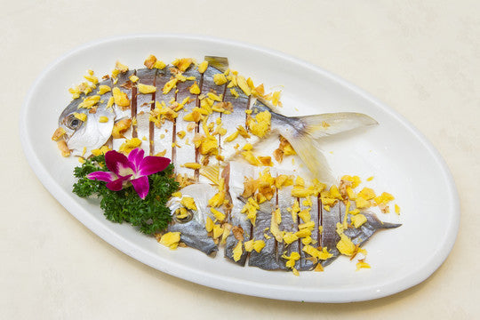 CHINESE POMFRET 斗鲳鱼