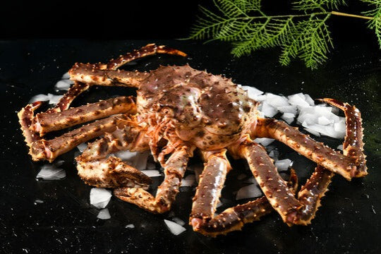 ALASKAN KING CRAB 阿拉斯加螃蟹