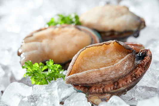 LIVE ABALONE 小鲍鱼