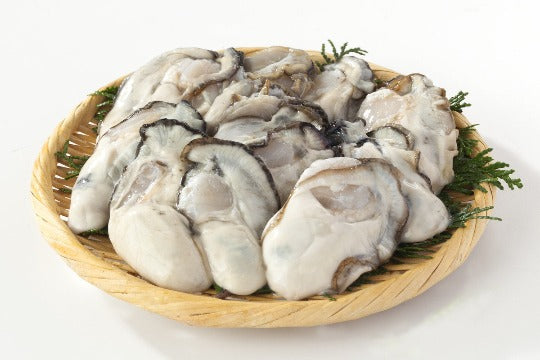 OYSTER MEAT 蚝肉