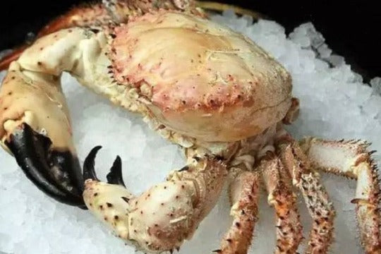 CHAMPAGNE CRAB 香槟蟹